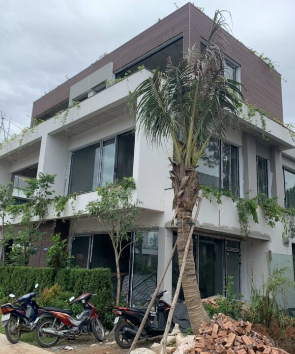 Cửa nhôm kính cho biệt thự_BG